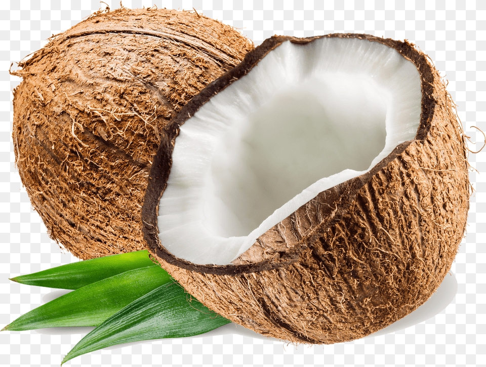 Coconut Pluspng Png Image