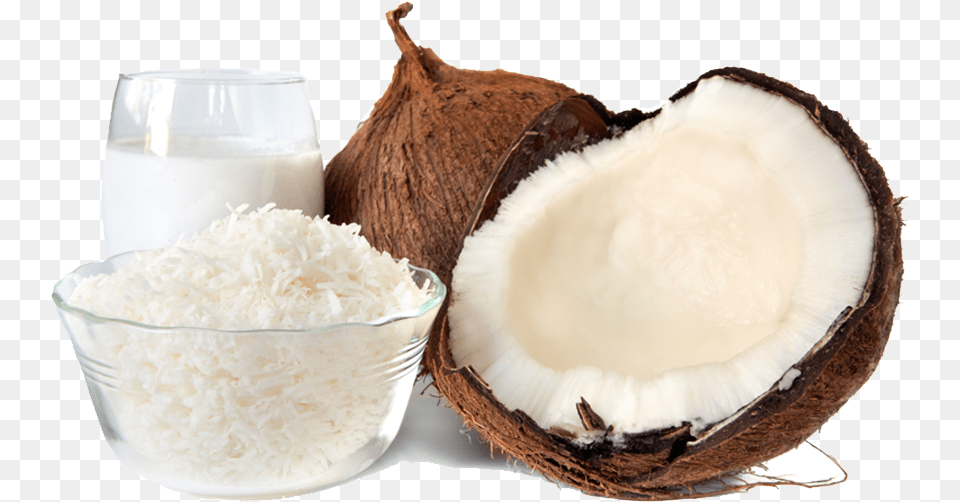 Coconut Products Yga Holdings Products Of Coconut Tree, Food, Fruit, Plant, Produce Png