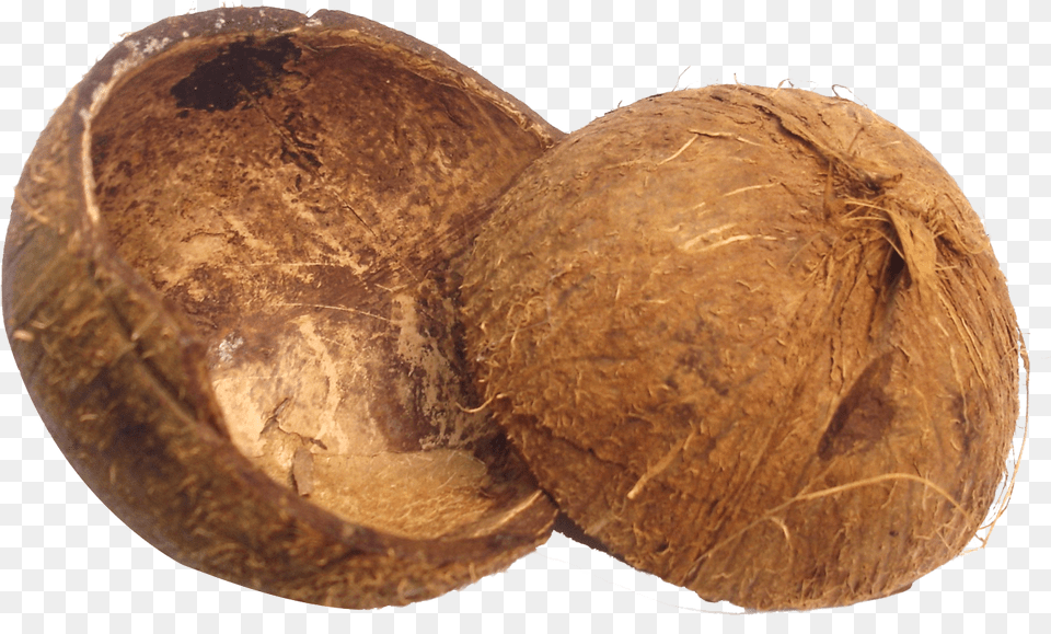 Coconut Shell, Food, Fruit, Plant, Produce Free Png Download