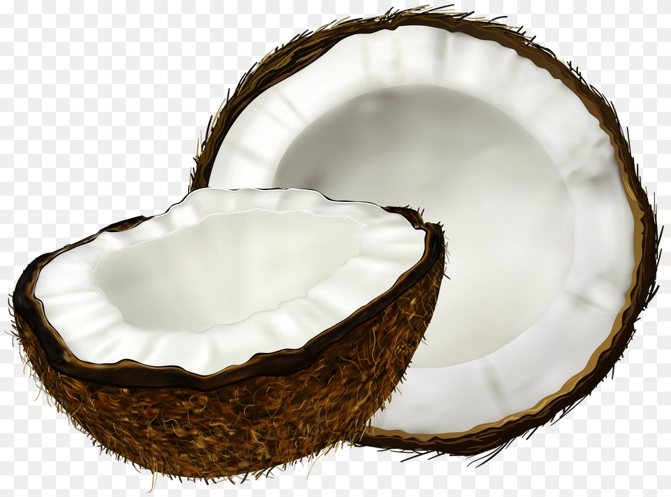 Coconut Clip Art Free Transparent Png