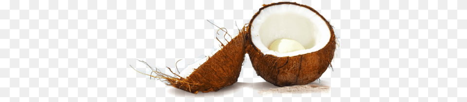 Coconut Transparent Only, Food, Fruit, Plant, Produce Free Png