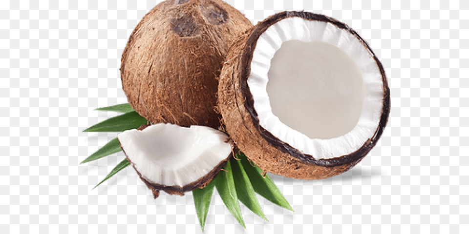 Coconut Images, Food, Fruit, Plant, Produce Free Transparent Png