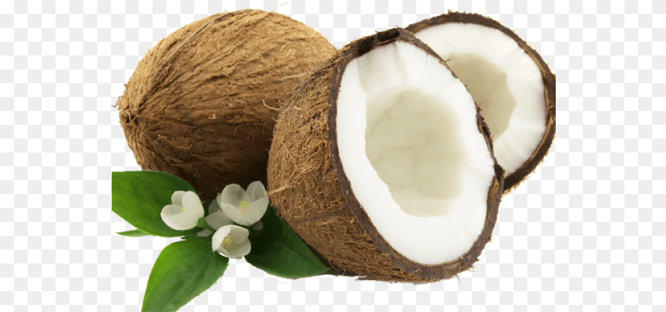 Coconut Images 8 Design Coconut Water Label, Food, Fruit, Plant, Produce Free Transparent Png