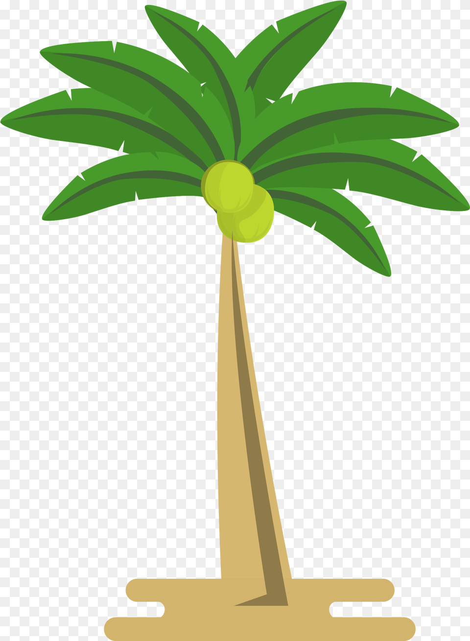 Coconut Tree With Fresh, Palm Tree, Plant, Food, Fruit Free Transparent Png