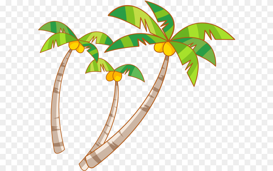 Coconut Tree, Palm Tree, Plant, Leaf, Food Png Image