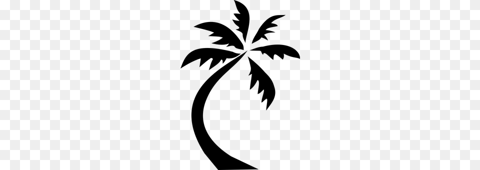 Coconut Tree Nature, Night, Outdoors Free Png