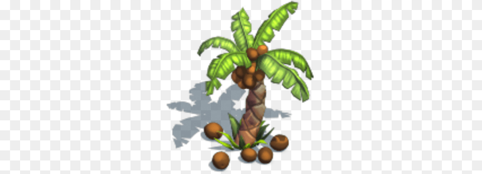 Coconut Tree Castle Story Guide Wiki Fandom Illustration, Palm Tree, Plant, Vegetation, Food Free Png Download