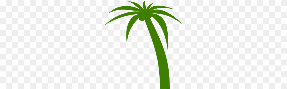 Coconut Tree Clip Arts For Web, Palm Tree, Plant, Leaf Free Png Download