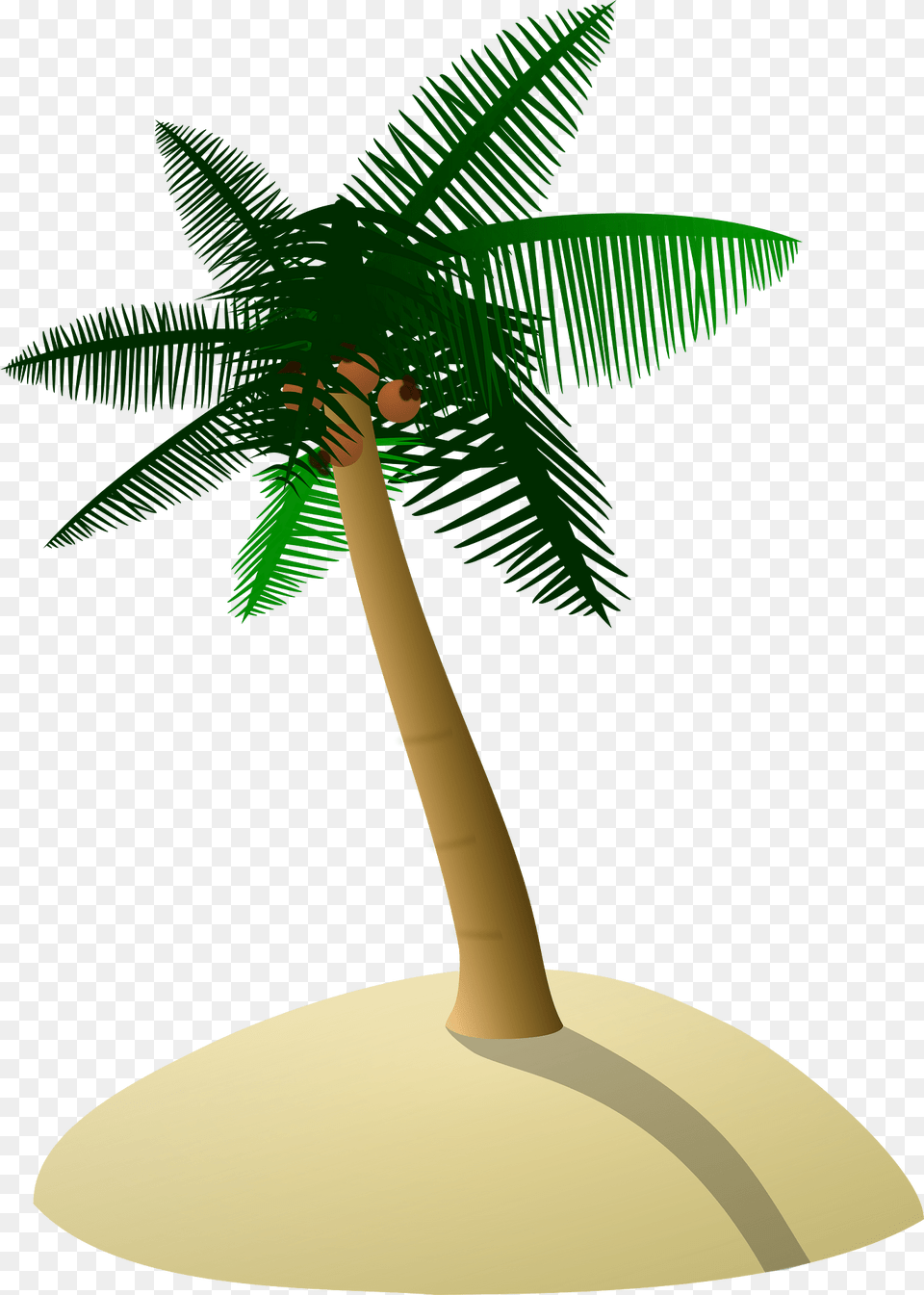 Coconut Tree Clipart, Palm Tree, Plant, Food, Fruit Free Transparent Png