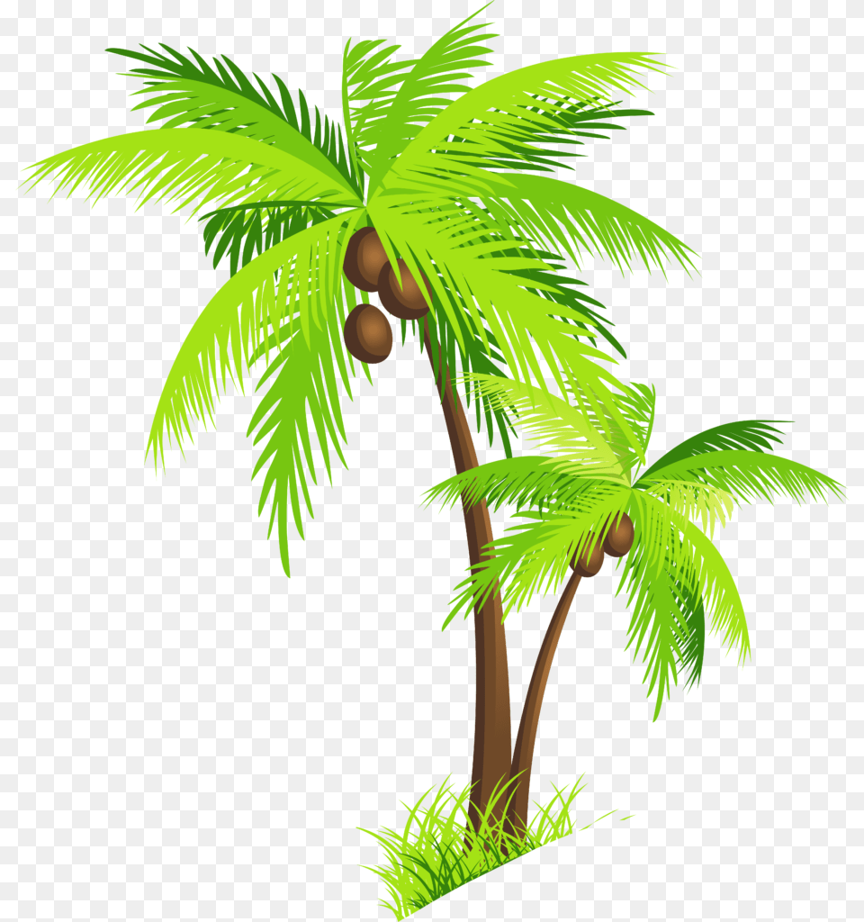 Coconut Tree Clipart, Vegetation, Plant, Palm Tree, Rainforest Free Png Download