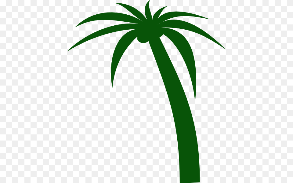 Coconut Tree Clipart Vector, Palm Tree, Plant Free Transparent Png