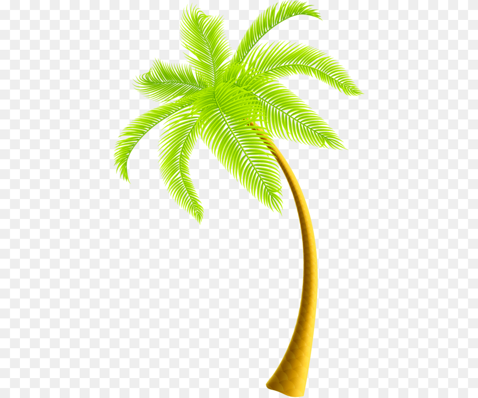 Coconut Tree Download, Leaf, Palm Tree, Plant, Fern Free Transparent Png