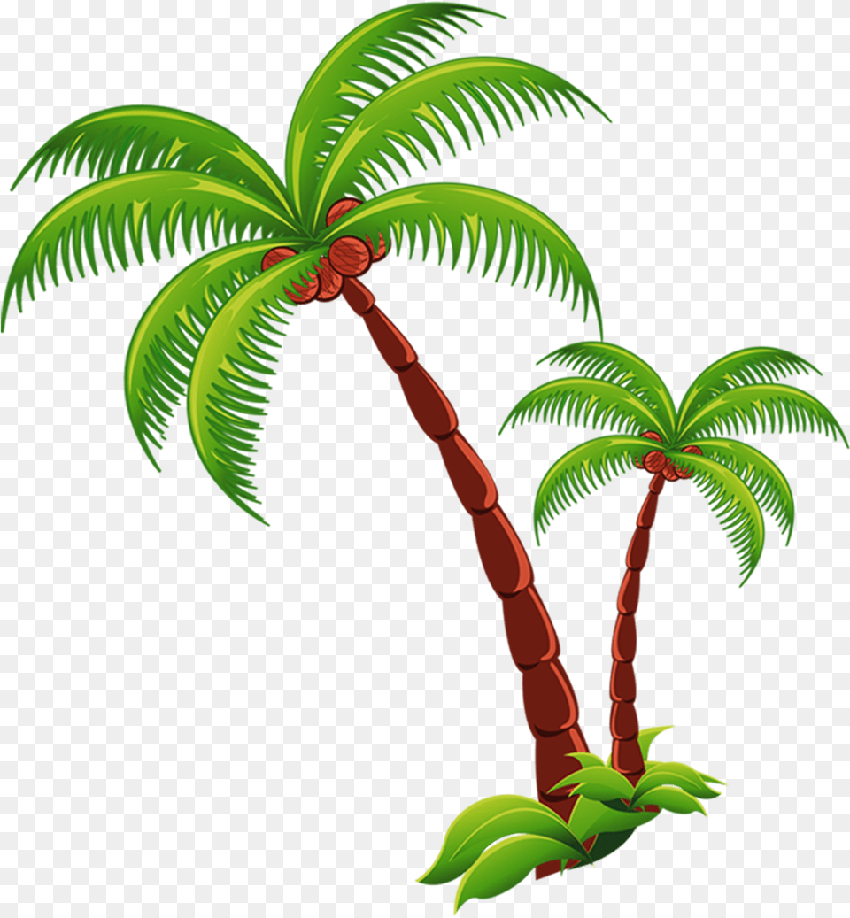Coconut Tree Download Coconut Tree Transparent, Palm Tree, Plant, Fern, Vegetation Free Png