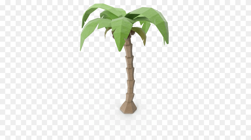 Coconut Tree Download Desert Palm, Leaf, Plant, Potted Plant, Palm Tree Free Png