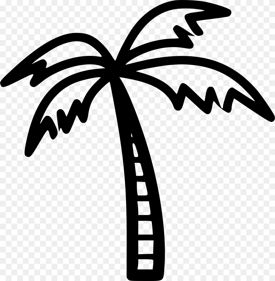 Coconut Tree Icon Download, Palm Tree, Plant, Stencil Free Png