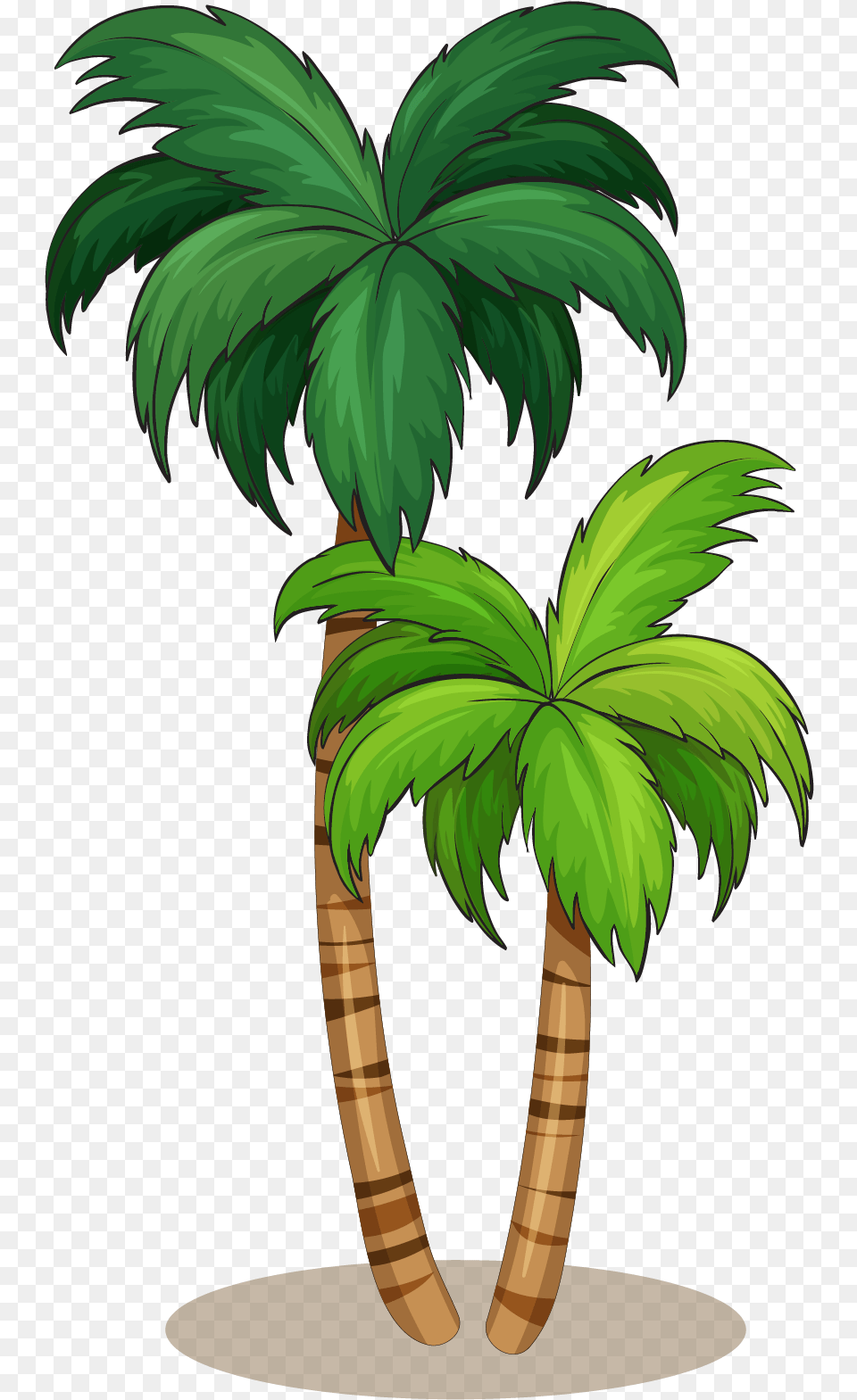 Coconut Tree Illustration, Palm Tree, Plant, Vegetation, Animal Png