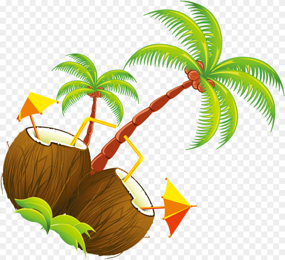 Coconut Tree Illustration Tropical Drinks Shower Curtain Cartoon Animated Coconut Tree, Food, Fruit, Plant, Produce Free Png