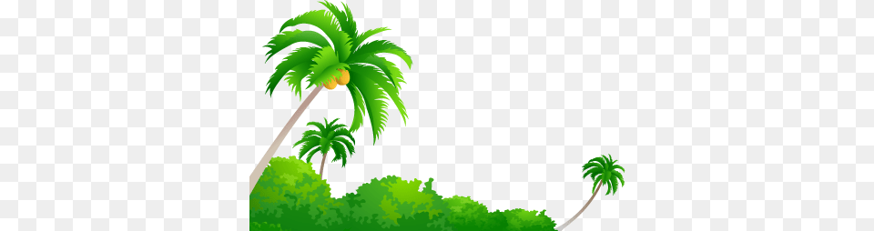 Coconut Tree Images Download, Green, Plant, Palm Tree, Vegetation Png