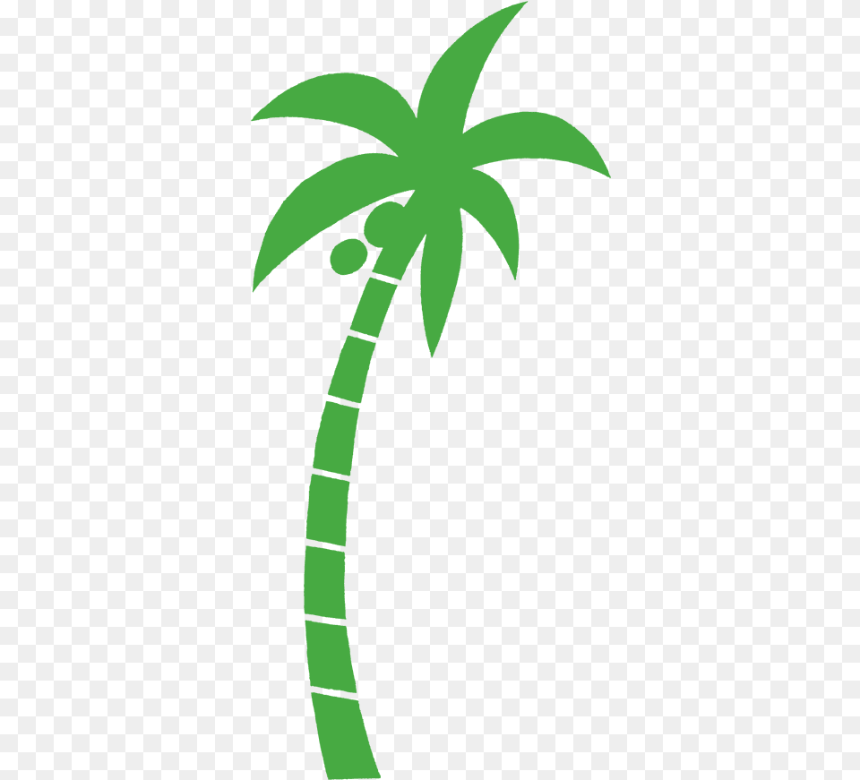 Coconut Tree Logo Hd Coconut Tree Logo, Green, Palm Tree, Plant, Leaf Png