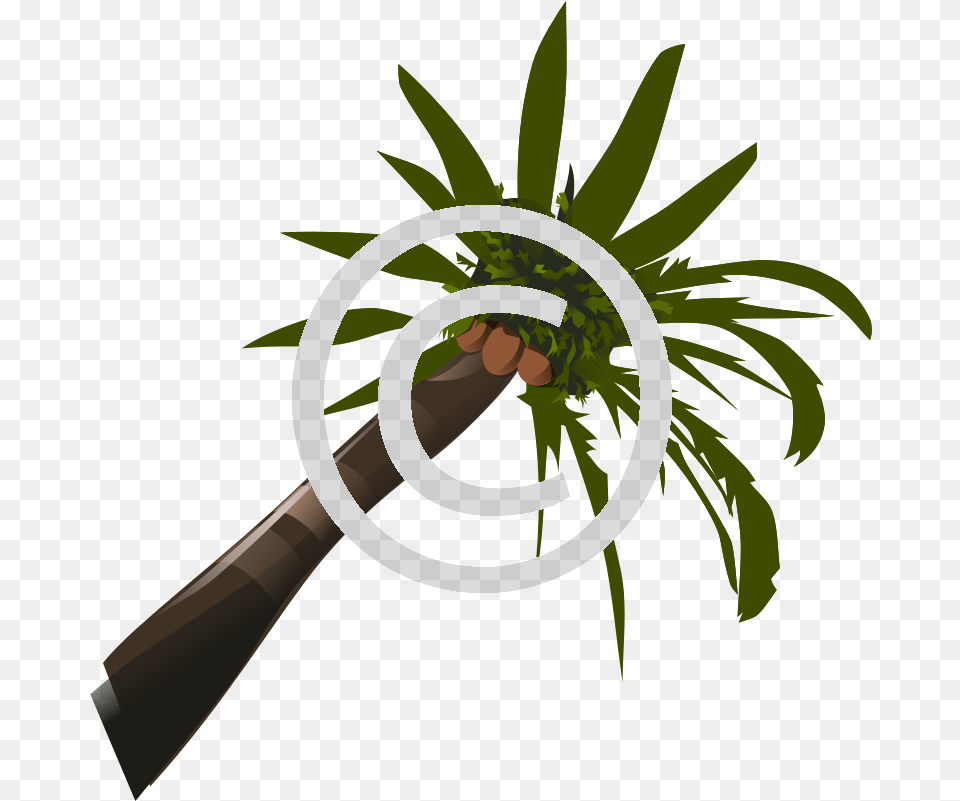 Coconut Tree Palm Tree Clip Art, Plant, Green, Leaf, Potted Plant Free Png