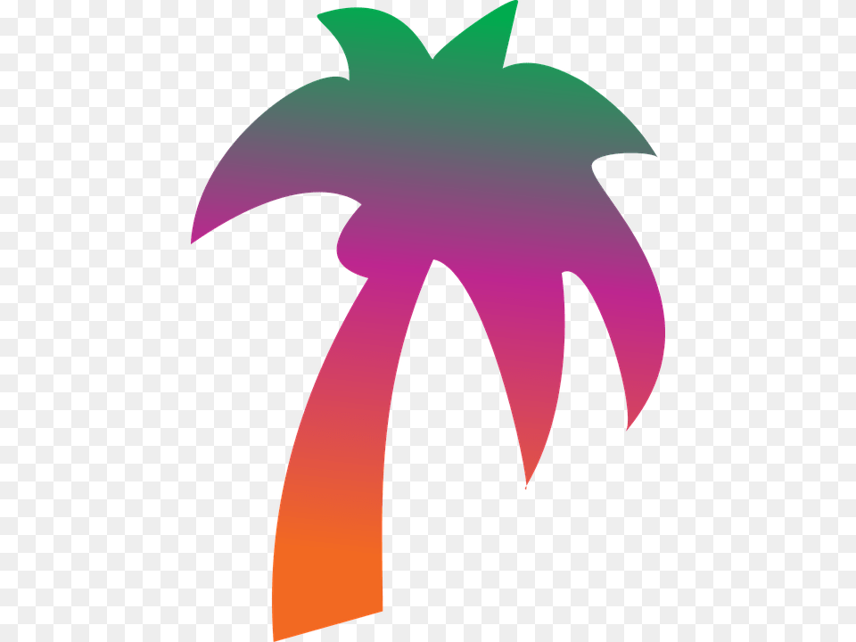 Coconut Tree Rainbow Rainbow Coconut Tree, Plant, Palm Tree, Logo, Baby Free Png