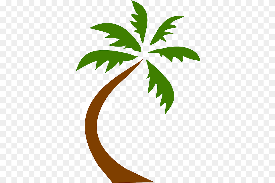 Coconut Tree Tropical Background Palm Tree Clip Art, Leaf, Palm Tree, Plant, Vegetation Free Png