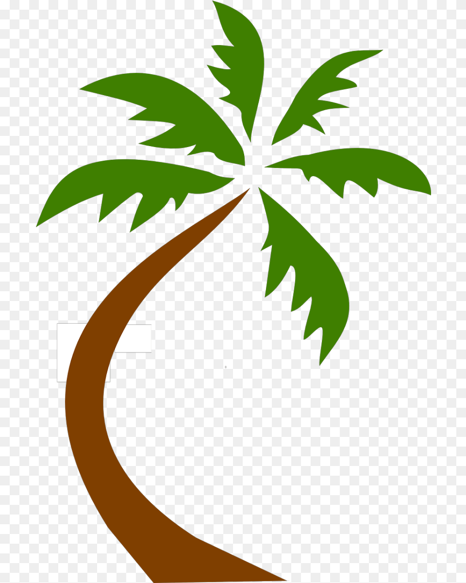 Coconut Tree Tropical Palms Backgrounds Palm Logo, Leaf, Palm Tree, Plant, Vegetation Free Png