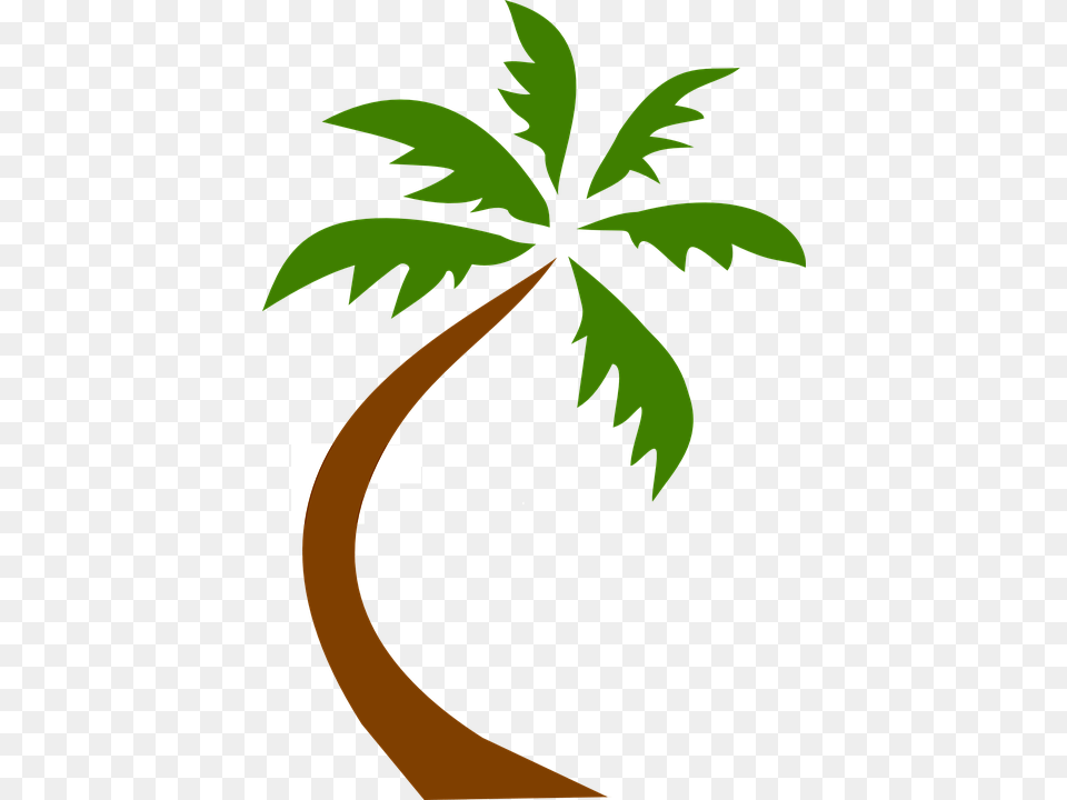 Coconut Tree Tropical Palms Hawaiian Exotic Green Palm Tree Clip Art Background, Leaf, Palm Tree, Plant, Vegetation Free Png