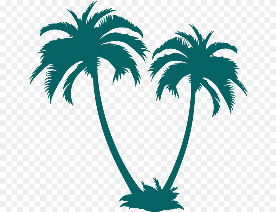Coconut Tree Vector, Palm Tree, Plant, Person Free Png