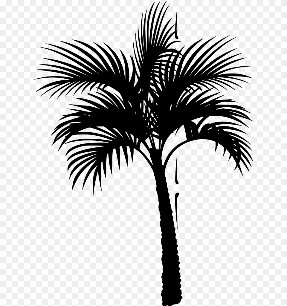 Coconut Tree Vector Palm Tree Pic Vector, Gray Png Image