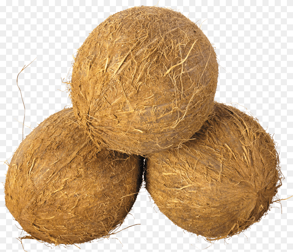 Coconut Trio, Food, Fruit, Plant, Produce Png Image