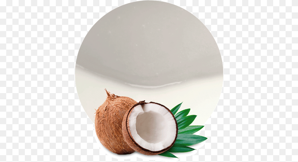 Coconut Water Concentrate Novavita Naturals Novavita Organic Coconut Oil Capsules, Food, Fruit, Plant, Produce Png Image