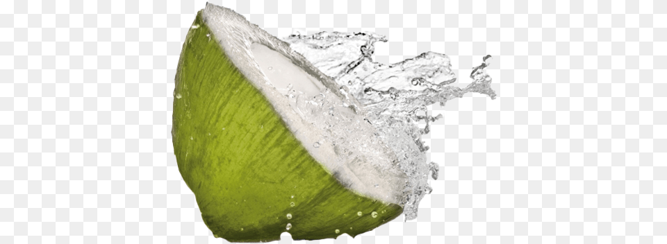 Coconut Water Background Arts Coconut Water, Food, Fruit, Plant, Produce Png Image