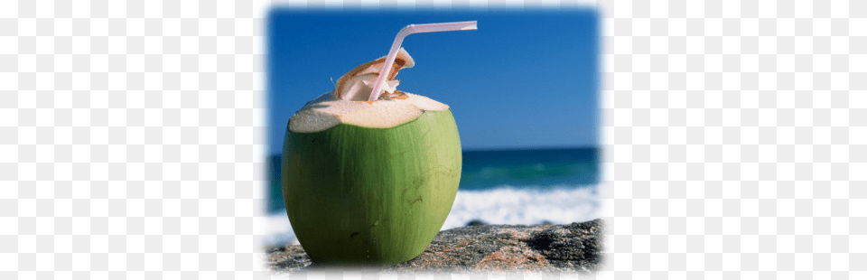 Coconut Water Introduction Juice Coconut, Food, Fruit, Plant, Produce Free Png Download