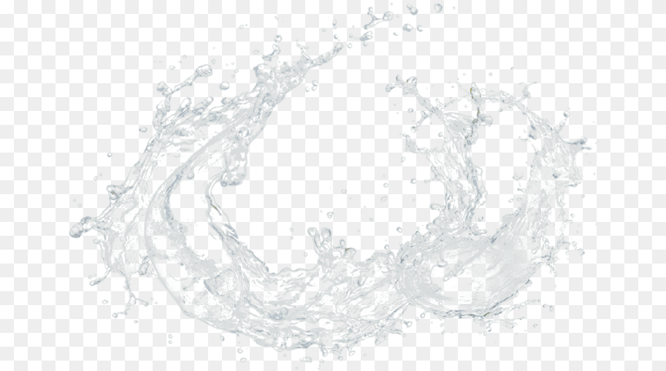 Coconut Water Splash, Adult, Wedding, Person, Female Free Png Download
