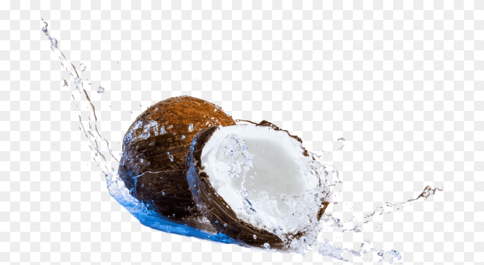 Coconut Water Splash Background Arts Coconut Day Wishes, Food, Fruit, Plant, Produce Free Transparent Png