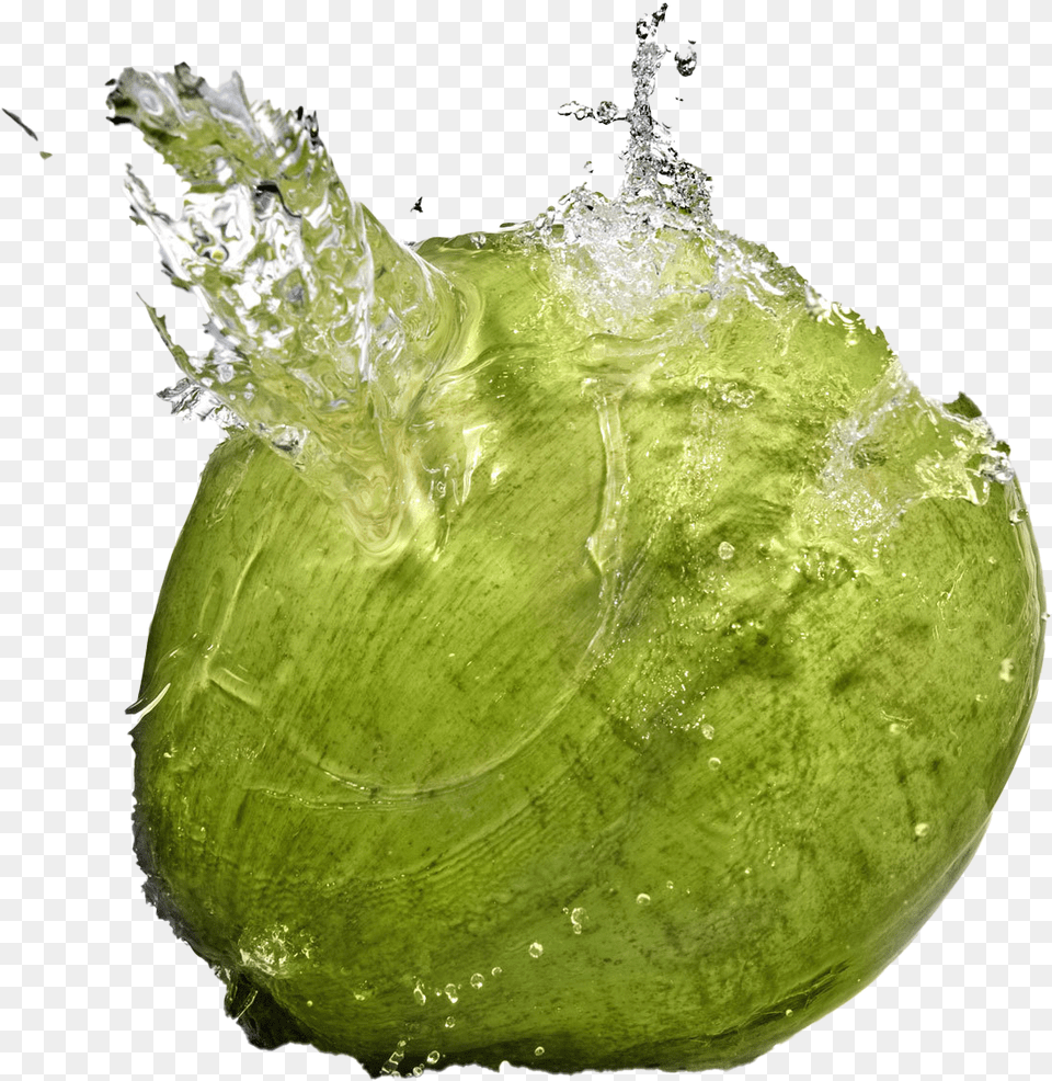 Coconut Water Splash Download Coconut Water, Food, Fruit, Plant, Produce Free Transparent Png
