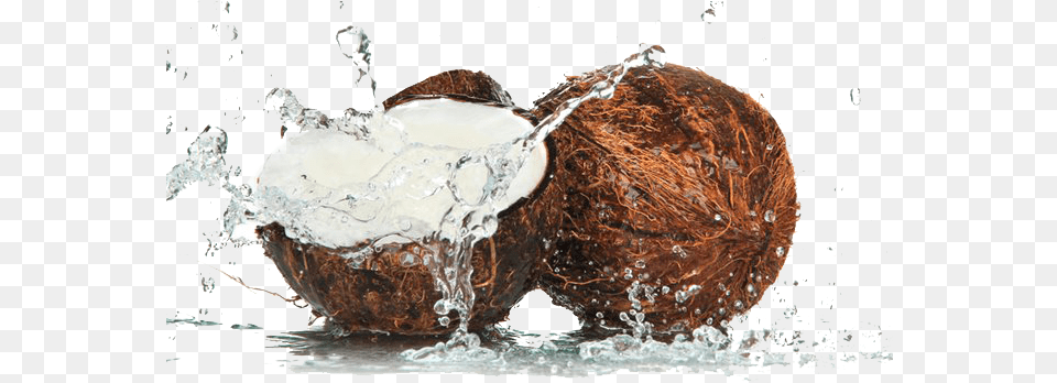 Coconut Water Splash Image Arts Coconut Water Splash, Food, Fruit, Plant, Produce Free Transparent Png