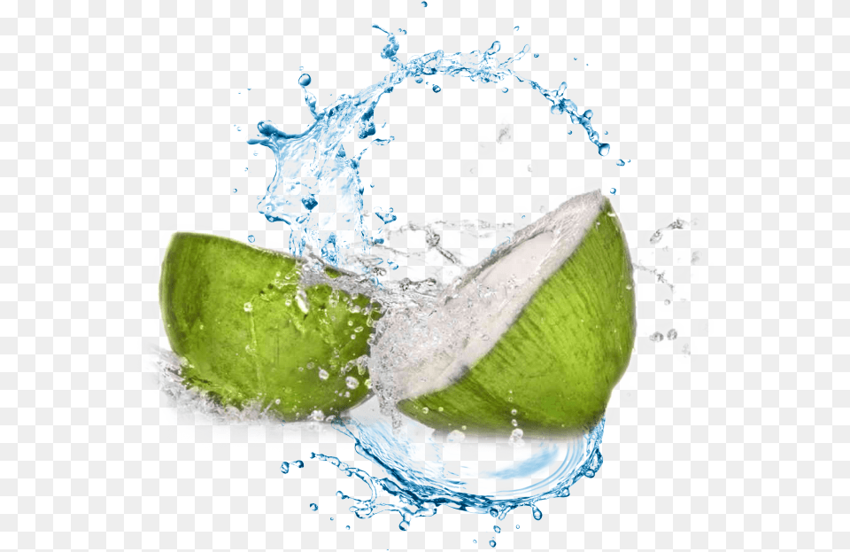 Coconut Water Transparent Background Full Size Transparent Background Water Splash, Food, Fruit, Plant, Produce Free Png