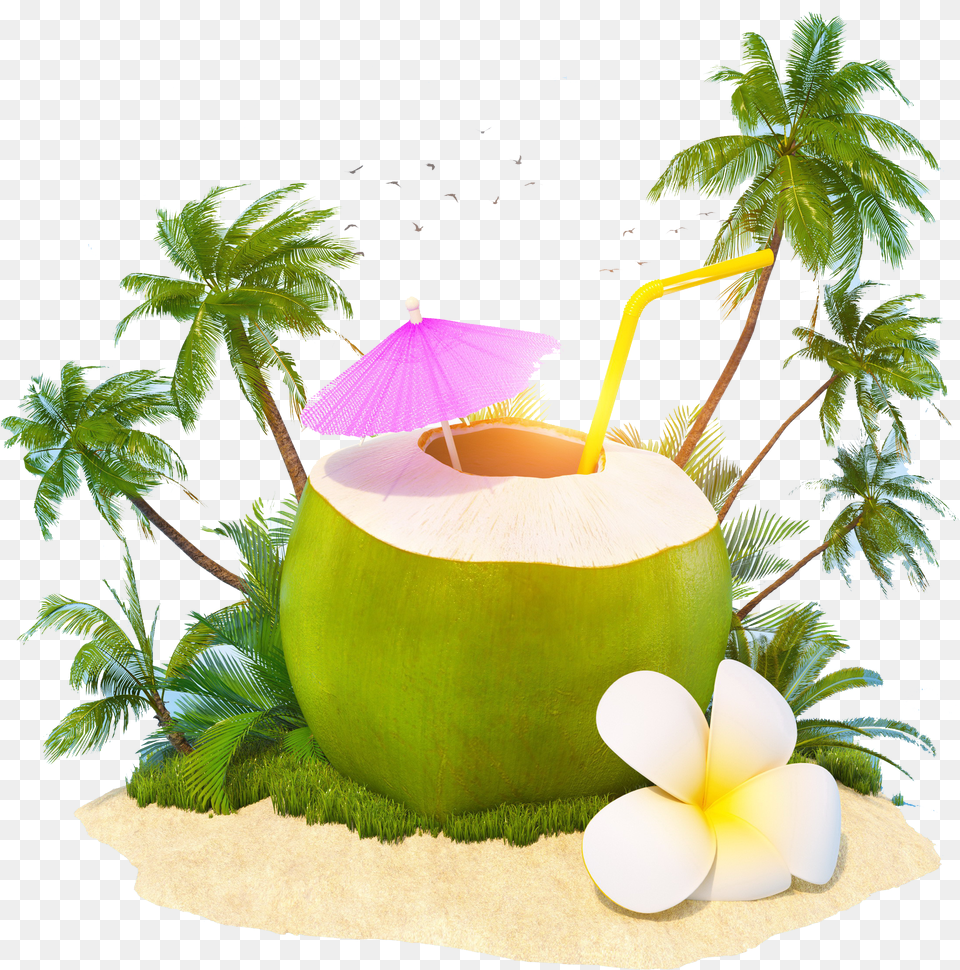 Coconut World Coconut Day 2019 Png Image