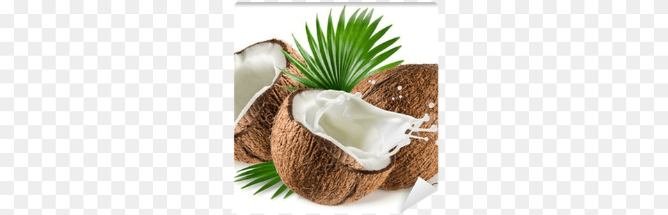 Coconuts With Milk Splash And Leaf On White Background Z Natural Foods Coconut Milk Powder Organic 5 Lbs, Food, Fruit, Plant, Produce Png Image