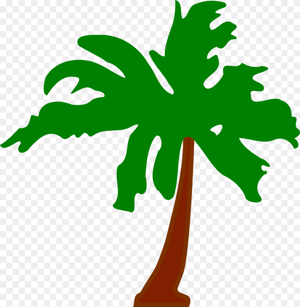 Cocos Keeling Islands Flag, Palm Tree, Plant, Tree, Person Png