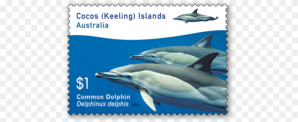 Cocos Keeling Islands Stamps, Animal, Dolphin, Mammal, Sea Life Free Png Download