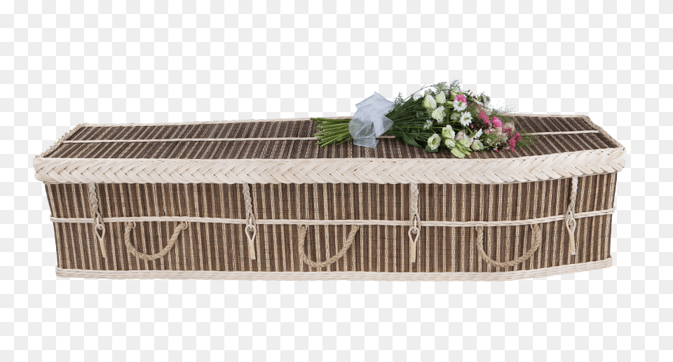 Cocostick Coffins Horizontal, Flower, Flower Arrangement, Flower Bouquet, Plant Png Image