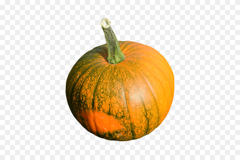 Cocumber Food, Plant, Produce, Pumpkin Png Image