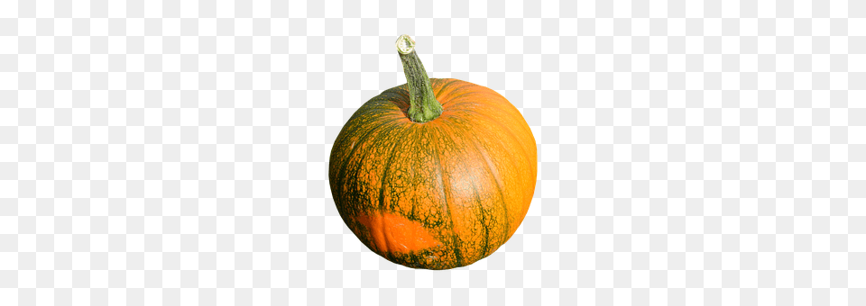 Cocumber Vegetable, Food, Pumpkin, Produce Png