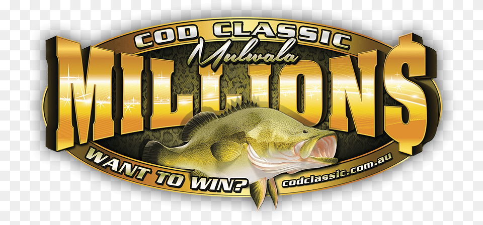 Cod Classic Mulwala, Animal, Sea Life, Fish, Perch Png Image