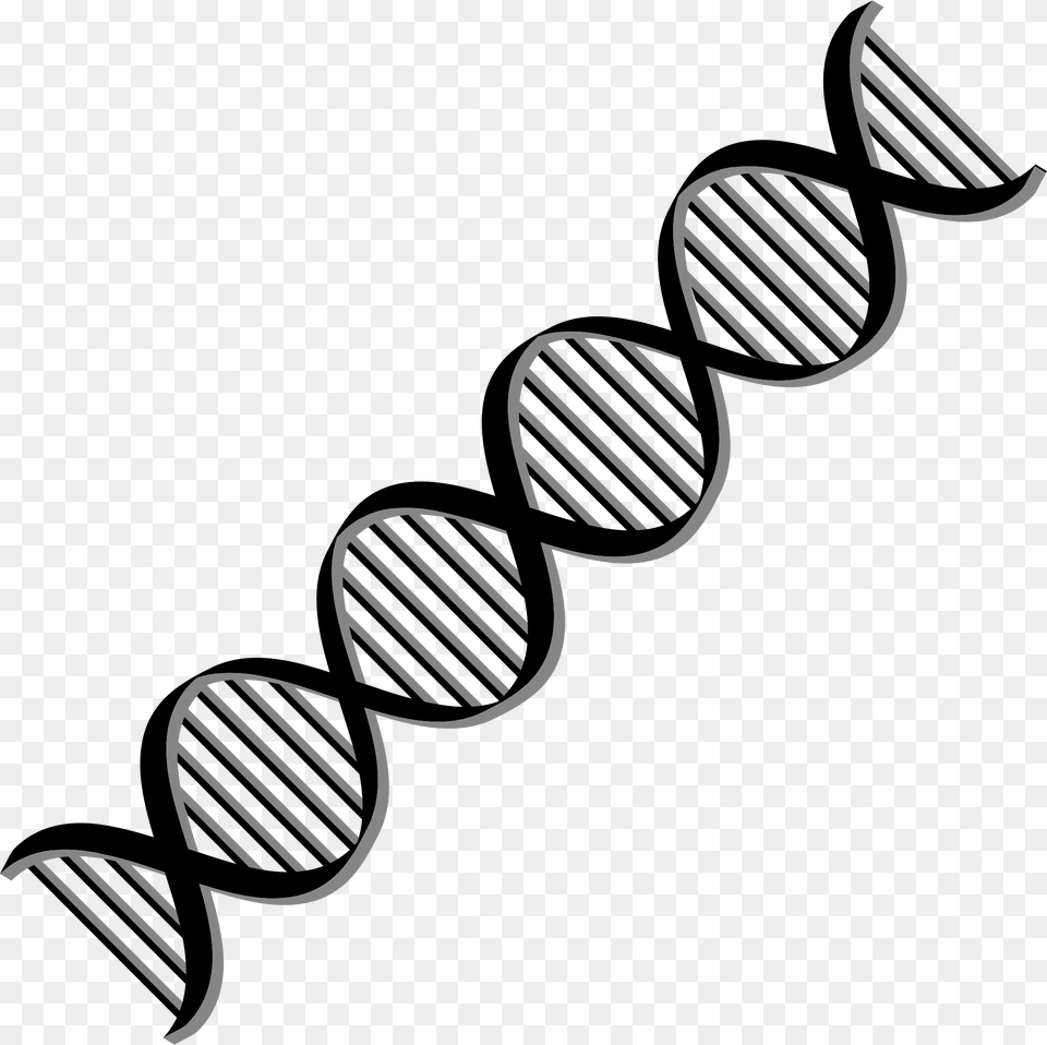 Code Clipart Dna, Spiral Free Png Download