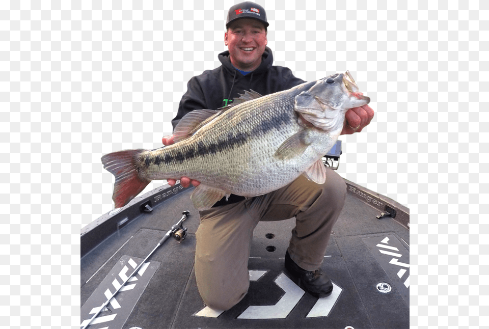 Cody Meyer New World Record Bass, Animal, Sea Life, Fish, Adult Png Image