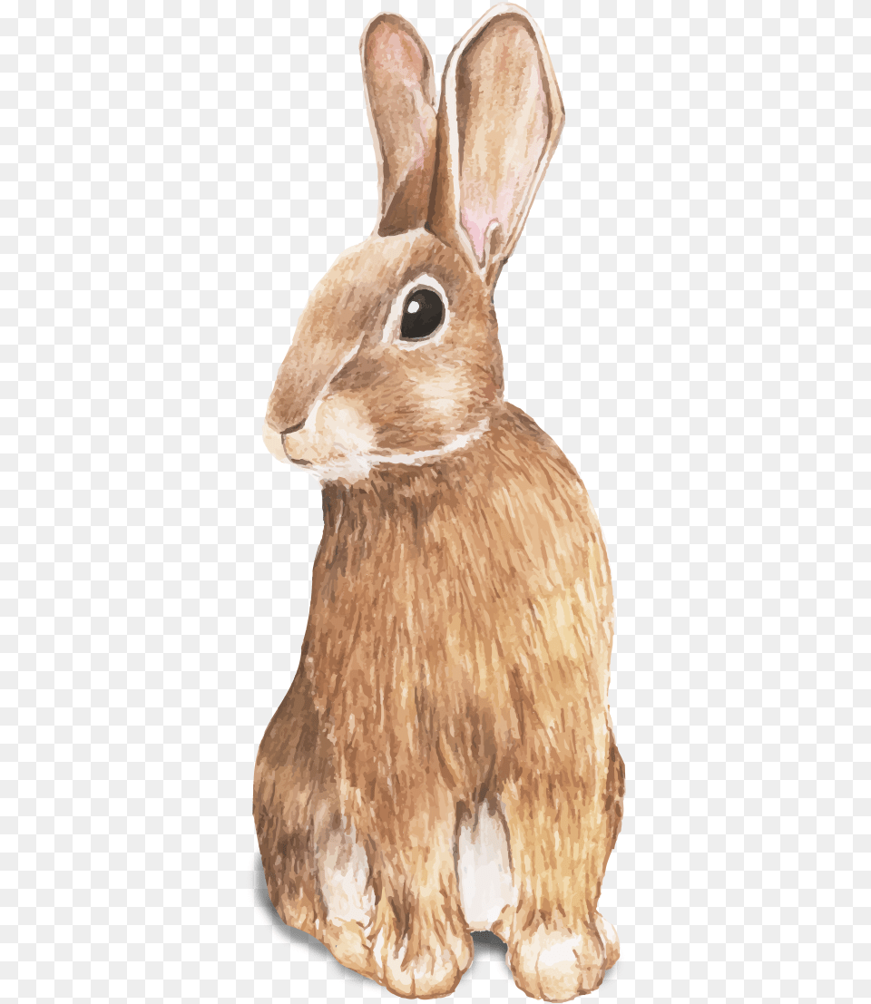 Coelhinho Da Pscoa Rabbit Hand Drawing, Animal, Mammal, Person, Hare Free Transparent Png